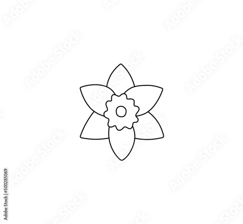 Vector isolated cute tiny narcissus round blossom with six petals colorless black and white contour line drawing