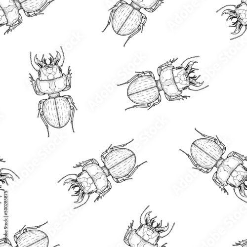 Seamless pattern of monochrome beetles illustration. Vector illustration template
