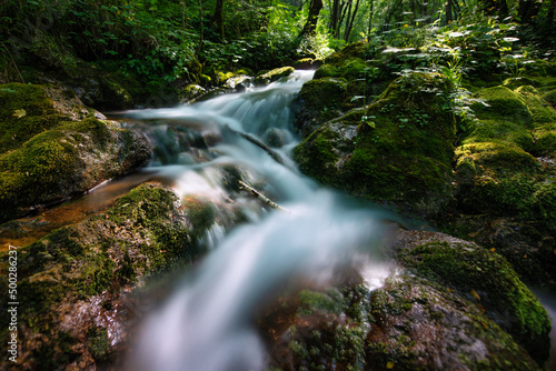 Small stream in the forest