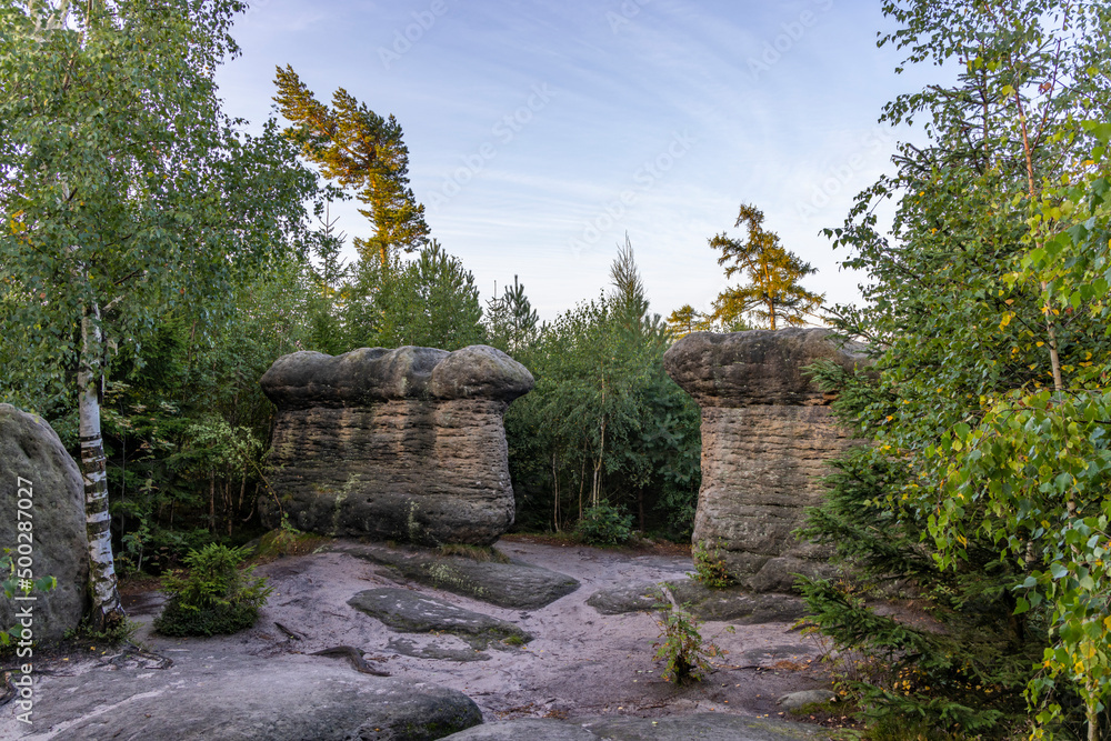 Stone mushrooms in a nature reserve Broumovske steny, eastern Bohemia, Czech Republic