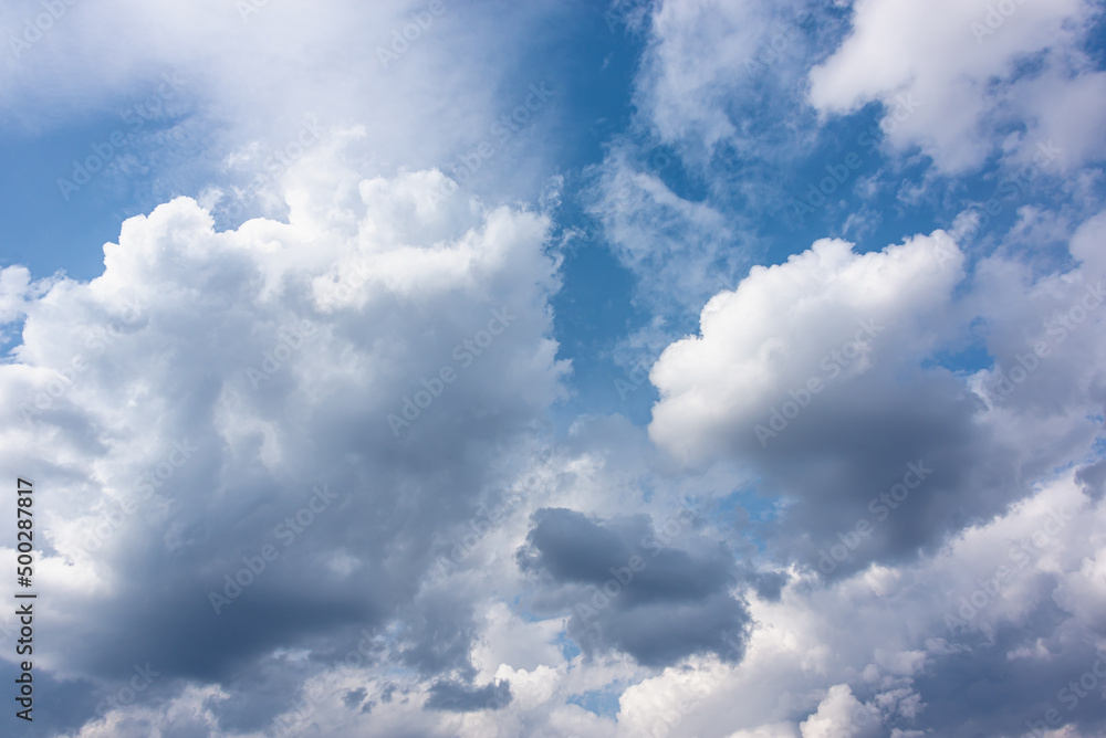 Fototapeta premium The texture of the clouds on the blue sky.