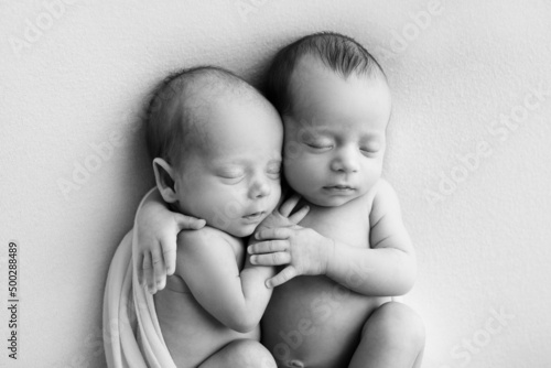Tiny newborn twins boys in white cocoons on a white background. A newborn twin sleeps next to his brother. Newborn two twins boys hugging each other.Professional black and white studio photography. 