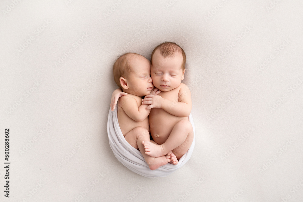 Tiny Newborn Twins Boys In White Cocoons On A White Background A