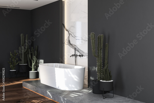 A white bathtub standing on a concrete platform with black and marble background. Minimalist bathroom with parquet,cactus and modern furniture. 3d rendering photo