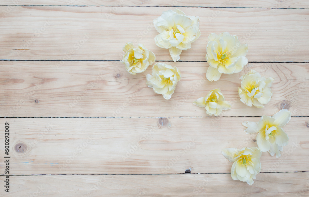 bright spring flowers on a wooden background top view. bright spring flowers on a wooden background top view.