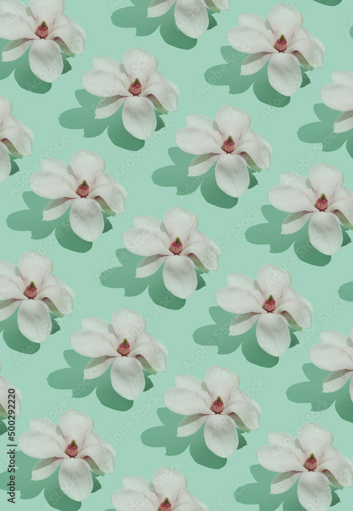 Pattern made with a Magnolia tree flowers and shadow on the pastel green background. Vertical frame. Pattern made with a Magnolia tree flowers and shadow on the pastel green background. Vertical frame.