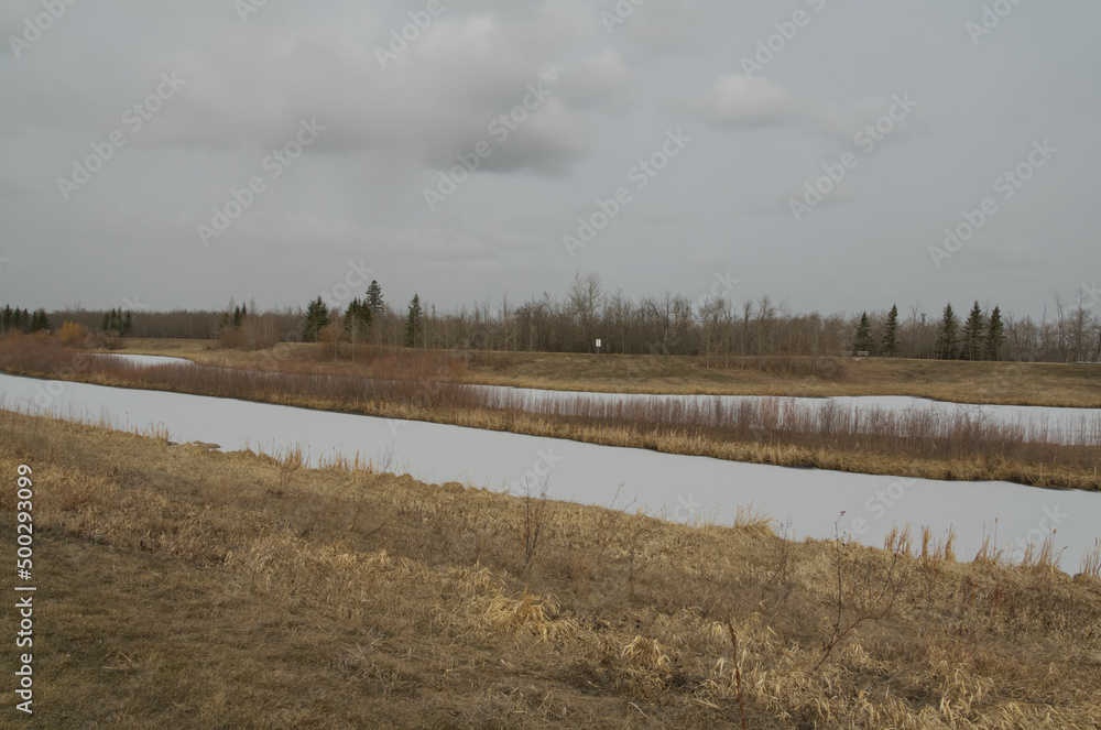 Pylypow Wetlands on a Cloudy Spring Day Pylypow Wetlands on a Cloudy Spring Day