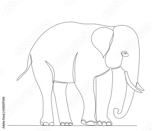 elephant drawing by one continuous line, sketch, vector