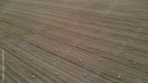 Bird View to harvested hey rolls at the Rügen Island  photo