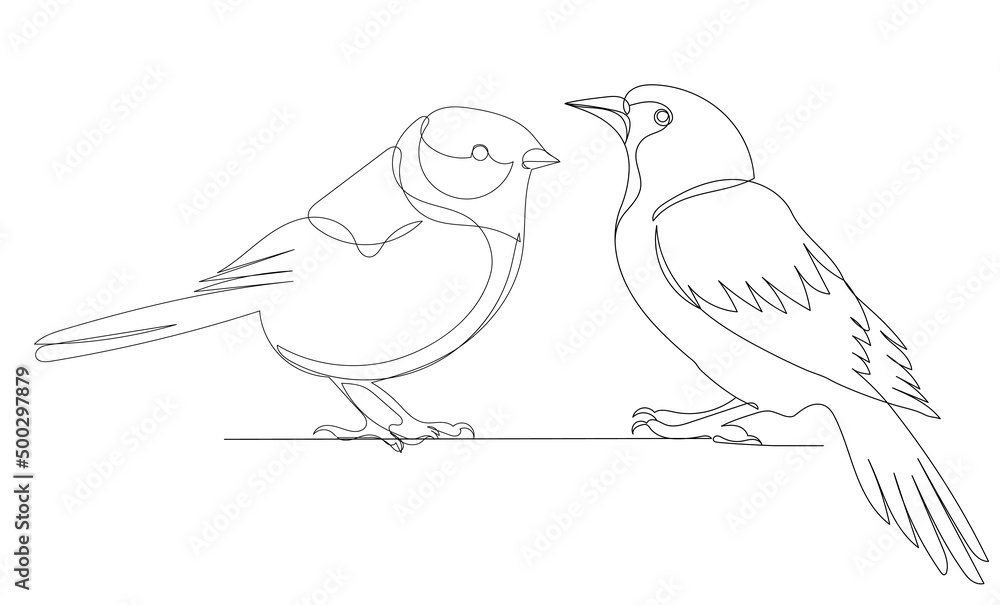 birds drawing in one continuous line, sketch, vector birds drawing in one continuous line, sketch, vector