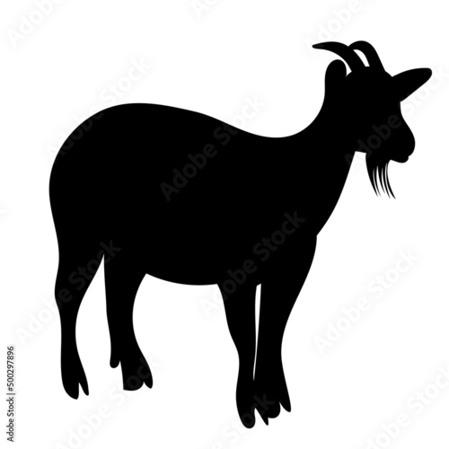 goat silhouette, on white background, isolated, vector