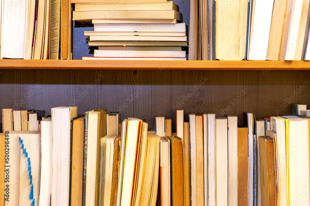 Obraz premium estantería con libos de madera, libros en vertical y horizontal, lectura para el día del libro