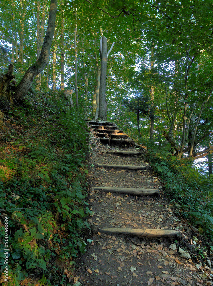 stairs of the Pieniny Mountains