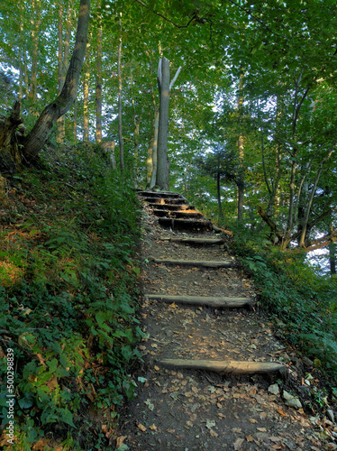 stairs of the Pieniny Mountains