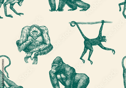 Bonobo or chimpanzee Seamless pattern. Western gorilla Orangutan. Vintage poster or banner. Colombian capuchin Proboscis monkey. Spider or Southern muriqui. Hand drawn engraved sketch. woodcut style. 