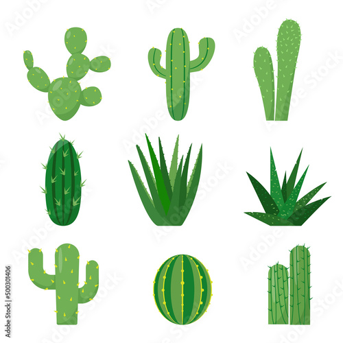 Set of Cactuses icons isolated on white background. Exotic Decorative house plants. Flat or cartoon icon vector illustration for home decor and botanical design.