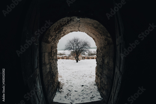 A tunnel passage and black dry tree against gray winter field, snowy landscape. An abandoned entrance to an old ruinec church in Ukraine.