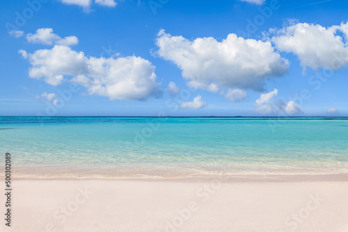 Sea sand sky beach closeup. Panoramic landscape. Inspire tropical beach coast seascape horizon. Horizon waves surf shore calmness tranquil relaxing sunlight summer mood. Vacation travel holiday banner