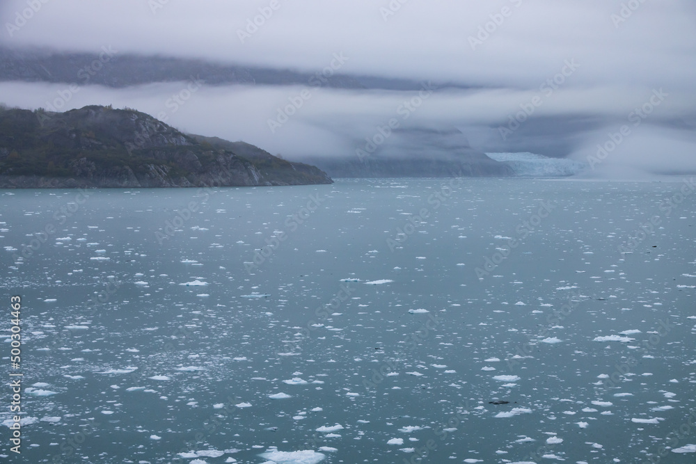 Ice chunks in the water at Glacier Bay, Alaska, USA

