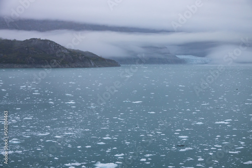 Ice chunks in the water at Glacier Bay  Alaska  USA 