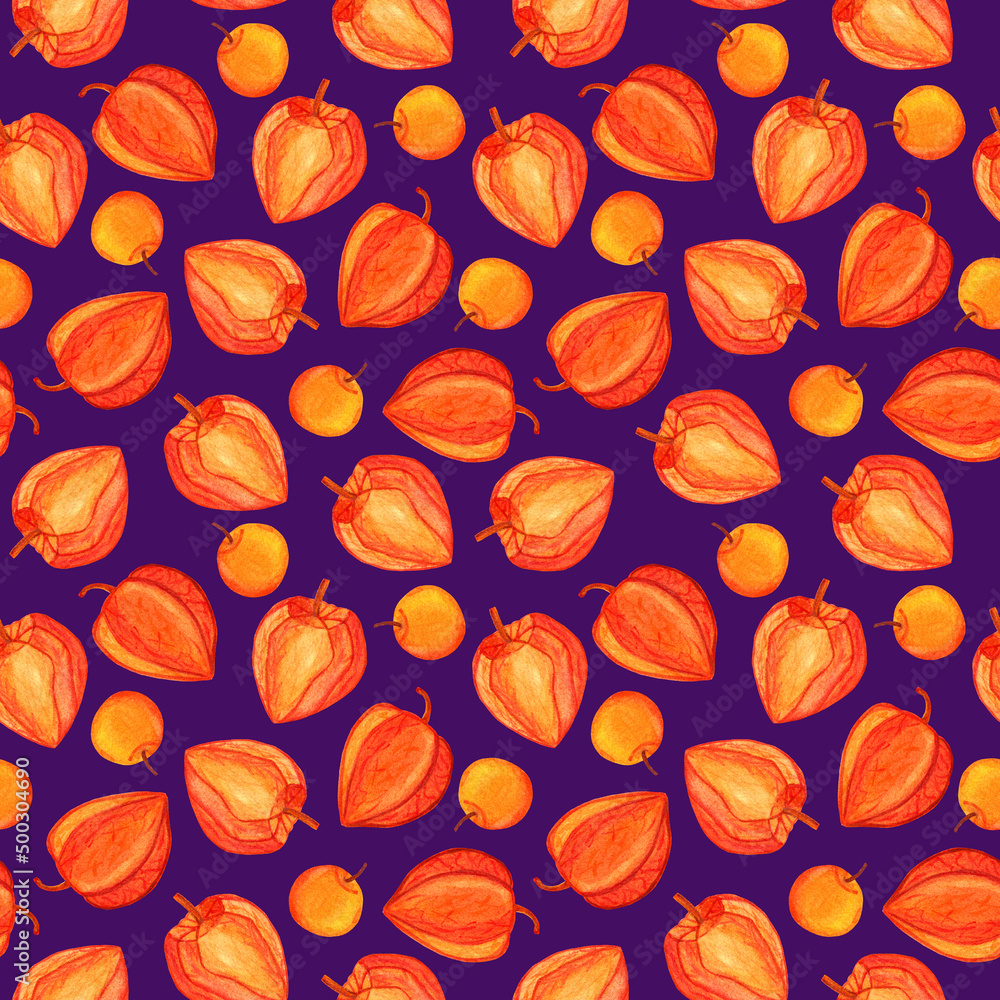 Physalis watercolor seamless pattern isolated on purple background. Golden berry hand drawn illustration. Cape gooseberries for print design, kitchen supplies, wrapping paper, fabric Physalis watercolor seamless pattern isolated on purple background. Golden berry hand drawn illustration. Cape gooseberries for print design, kitchen supplies, wrapping paper, fabric