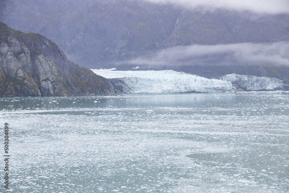 Ice chunks in the water and glacier in background at Glacier Bay, Alaska, USA
Ice chunks in the water and glacier in background at Glacier Bay, Alaska, USA