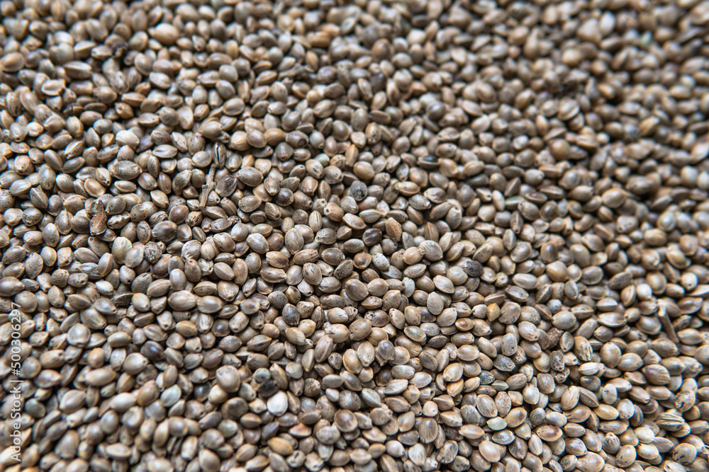 .hemp seeds. Medicinal properties of marijuana seeds .hemp seeds. Medicinal properties of marijuana seeds