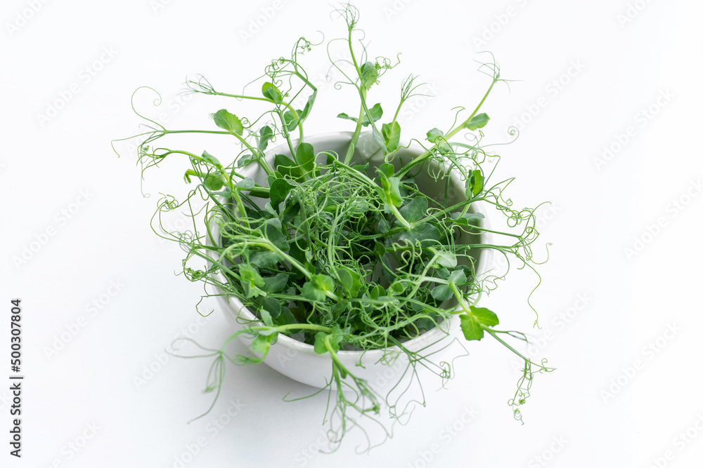 Pea microgreens fresh herbs on a white background. Healthy lifestyle, vegetarian organic products. Green natural background texture. Pea microgreens fresh herbs on a white background. Healthy lifestyle, vegetarian organic products. Green natural background texture.