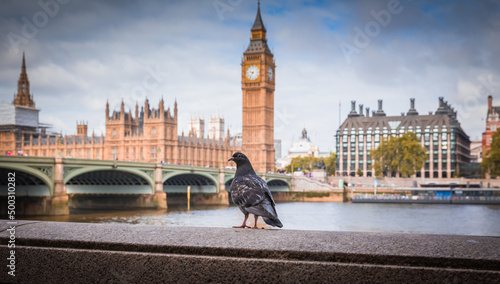 Canvas Print Big Ben in London, UK