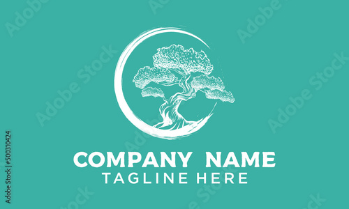 Natural Bonsai tree, natural vintage ornamental plant