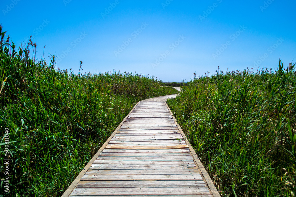 ponte, de madeira, madeira, natureza, caminho, céu, calçadão, calçada, paisagem, Spiaggia di Vendicari, Citta di Noto, Noto, Siracusa, Siscilia, Italia, Europa ponte, de madeira, madeira, natureza, caminho, céu, calçadão, calçada, paisagem, Spiaggia di Vendicari, Citta di Noto, Noto, Siracusa, Siscilia, Italia, Europa