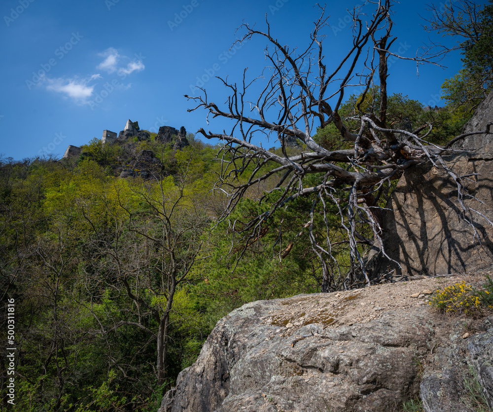 Bizarre Natur am Welterbesteig der Wachau Bizarre Natur am Welterbesteig der Wachau