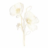 Elegant decorative golden line poppy flowers and buds, design element. Floral decoration for wedding invitations, greeting cards, banners.