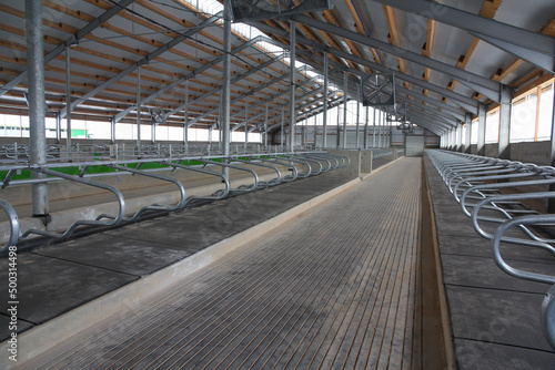 Large cowshed for dairy cows in the final stage of construction