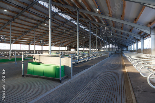 Large cowshed for dairy cows in the final stage of construction
