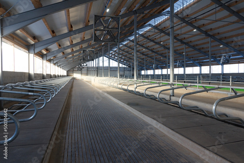 Large cowshed for dairy cows in the final stage of construction photo