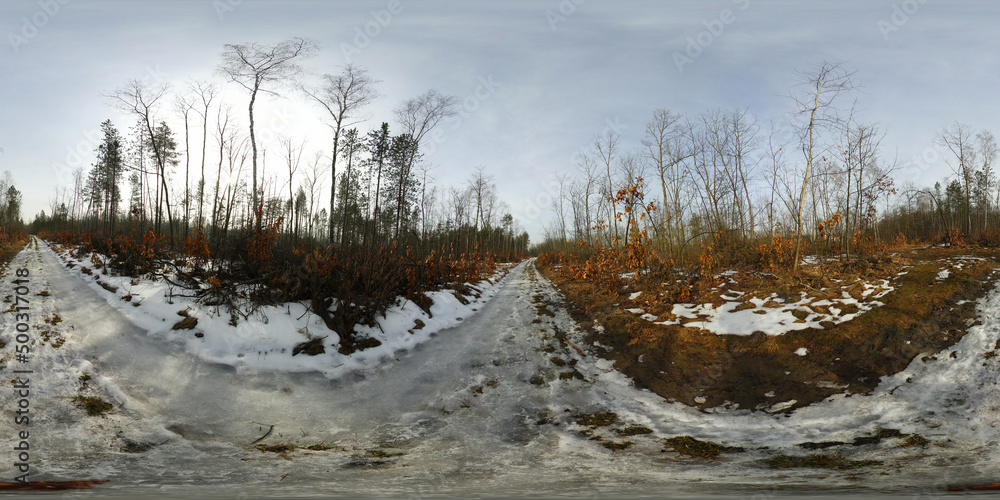 Winter Forest covered with snow HDRI Panorama