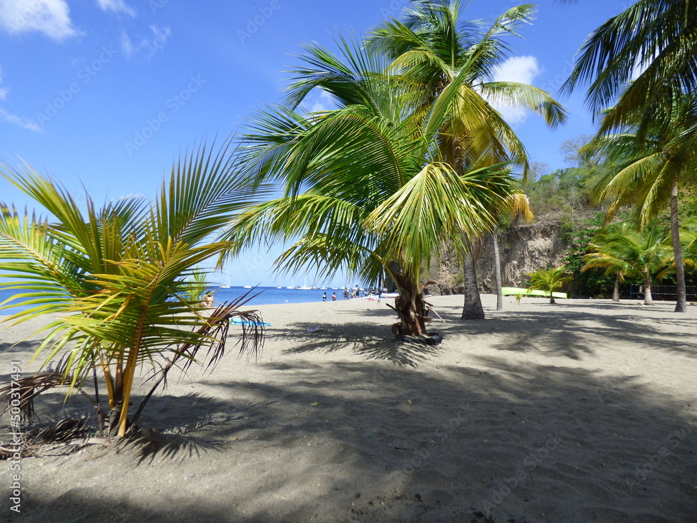 Obraz premium Schoelcher Plage de Madiana Martinique