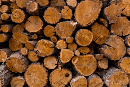 chopped wood in one heap