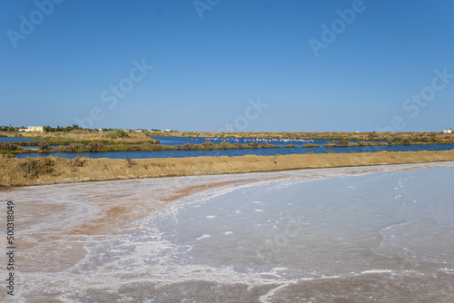 salt marsh of Fuseta  Algarve  Portugal