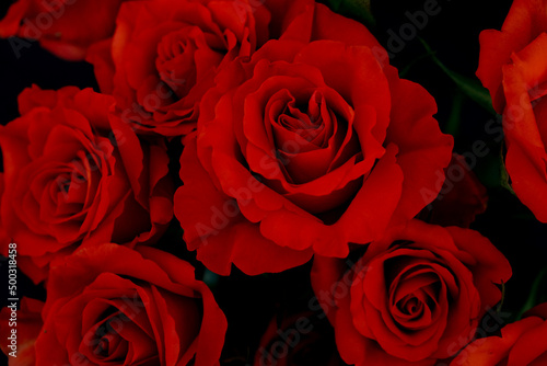 red roses from above on a black background 