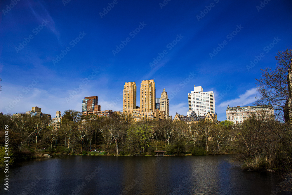 Central Park Skyline