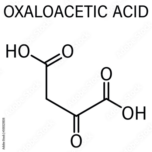 Oxaloacetic acid or oxaloacetate  metabolic intermediate molecule. Skeletal chemical formula.