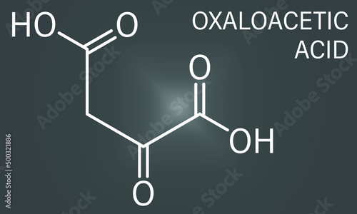 Oxaloacetic acid or oxaloacetate  metabolic intermediate molecule. Skeletal chemical formula.