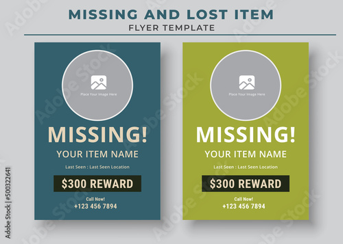 Missing and Lost Item flyer Template, Missing poster, Lost pet flyer template