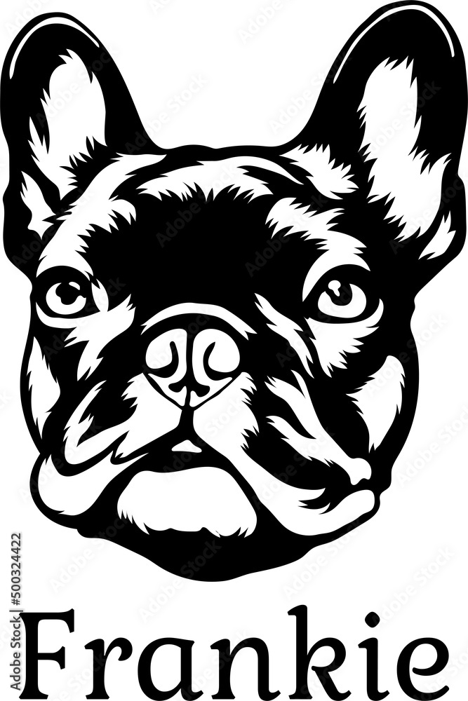 Fototapeta premium Frankie Black White vector