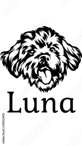 Luna Black White vector