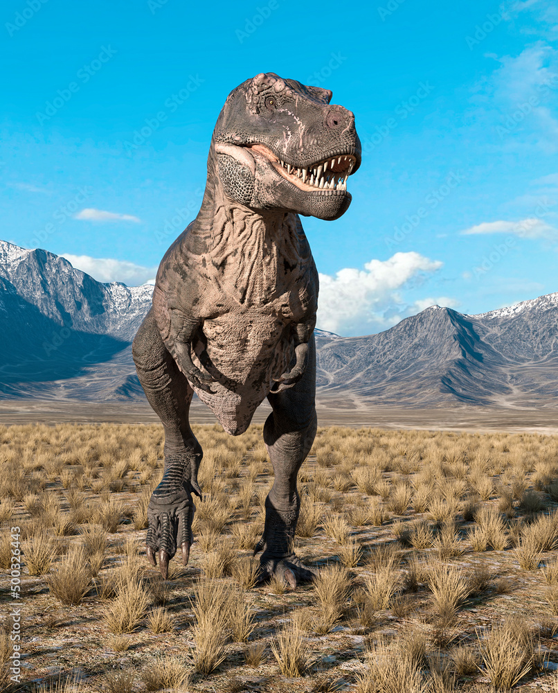 Fototapeta premium tyrannosaurus rex is standing up in plains and mountains