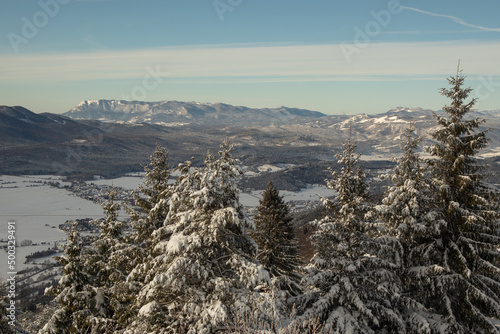 View from slivnica hill towards the Cerknica valley and Nanos ridge in winter time. Snow covered mountains and hills below, trees in foreground. photo
