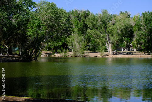 lake in the park